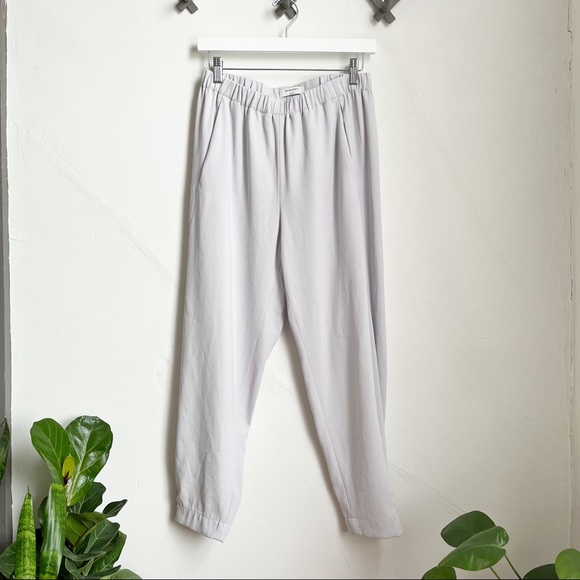 Aritzia Pants - Babaton Dexter Pant